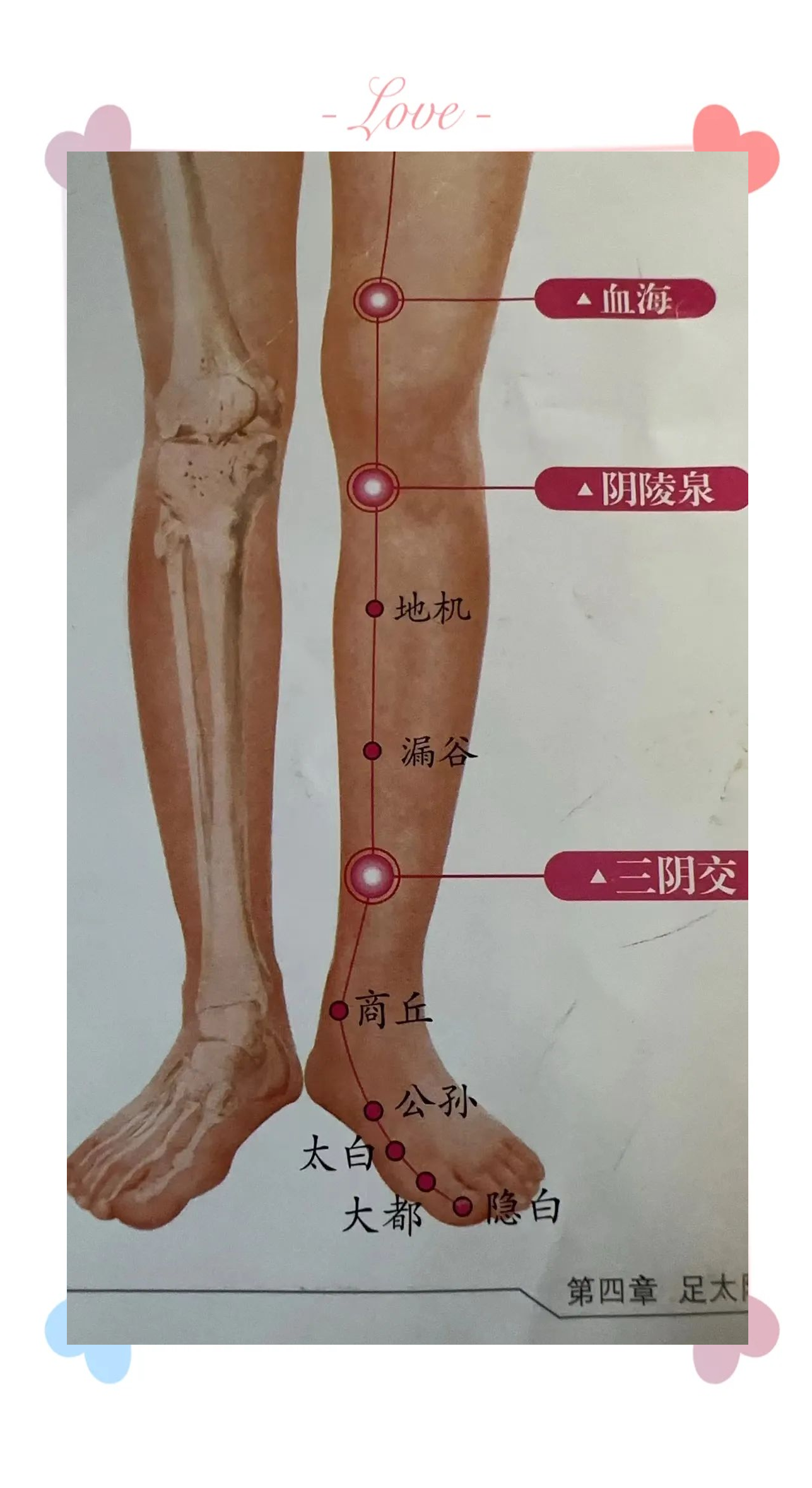 阴陵泉,这个穴位名字听起来就带着几分阴气,它正是体内湿气囤积的所在