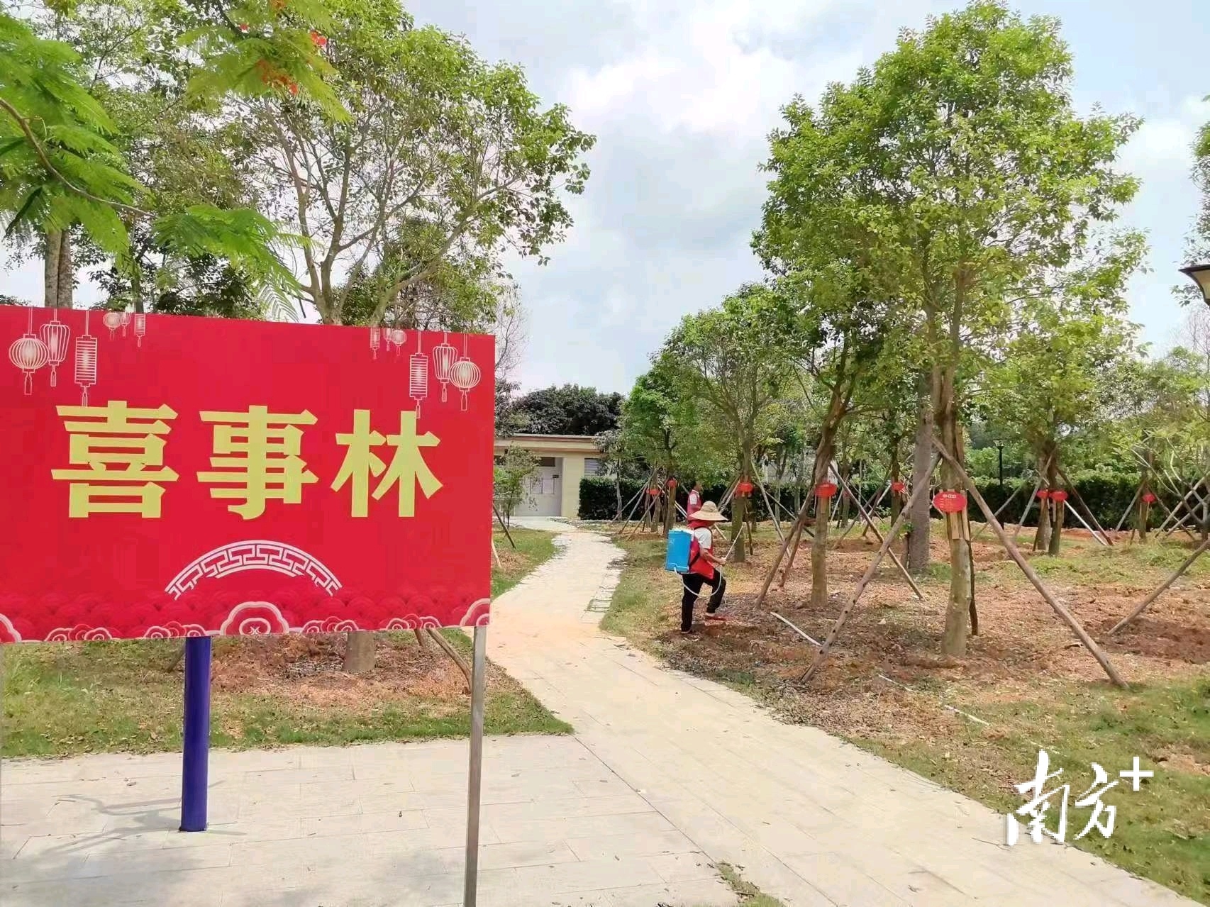 电白区沙琅镇:聚焦"五个一",推进绿美乡村建设