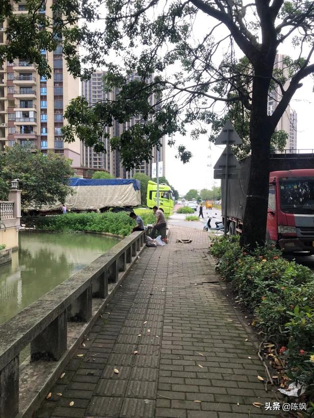 顺德容桂:凤凰湾生活散记(二十二)东逸湾十年前怎么规划?