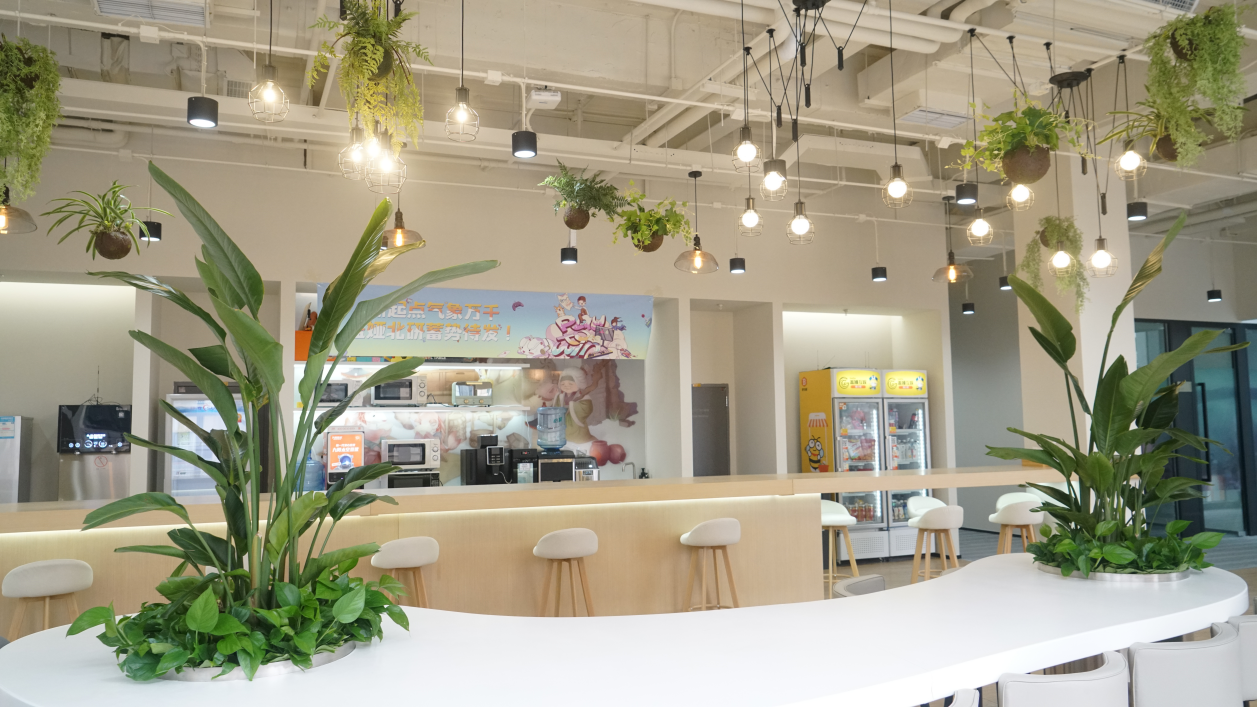 专访盖娅互娱招聘负责人cici:当前环境更考验公司特征等软加分项