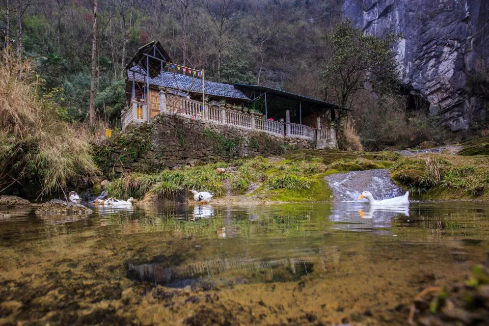 在松桃县 · 响水洞村,与瀑布梯田相遇,体验大自然野性的魅力!