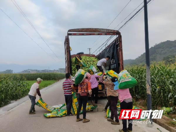 江永夏层铺最牛的人图片