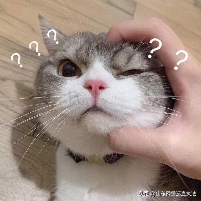 相恋两年,让女主播花出66w的"榜一大哥"竟是