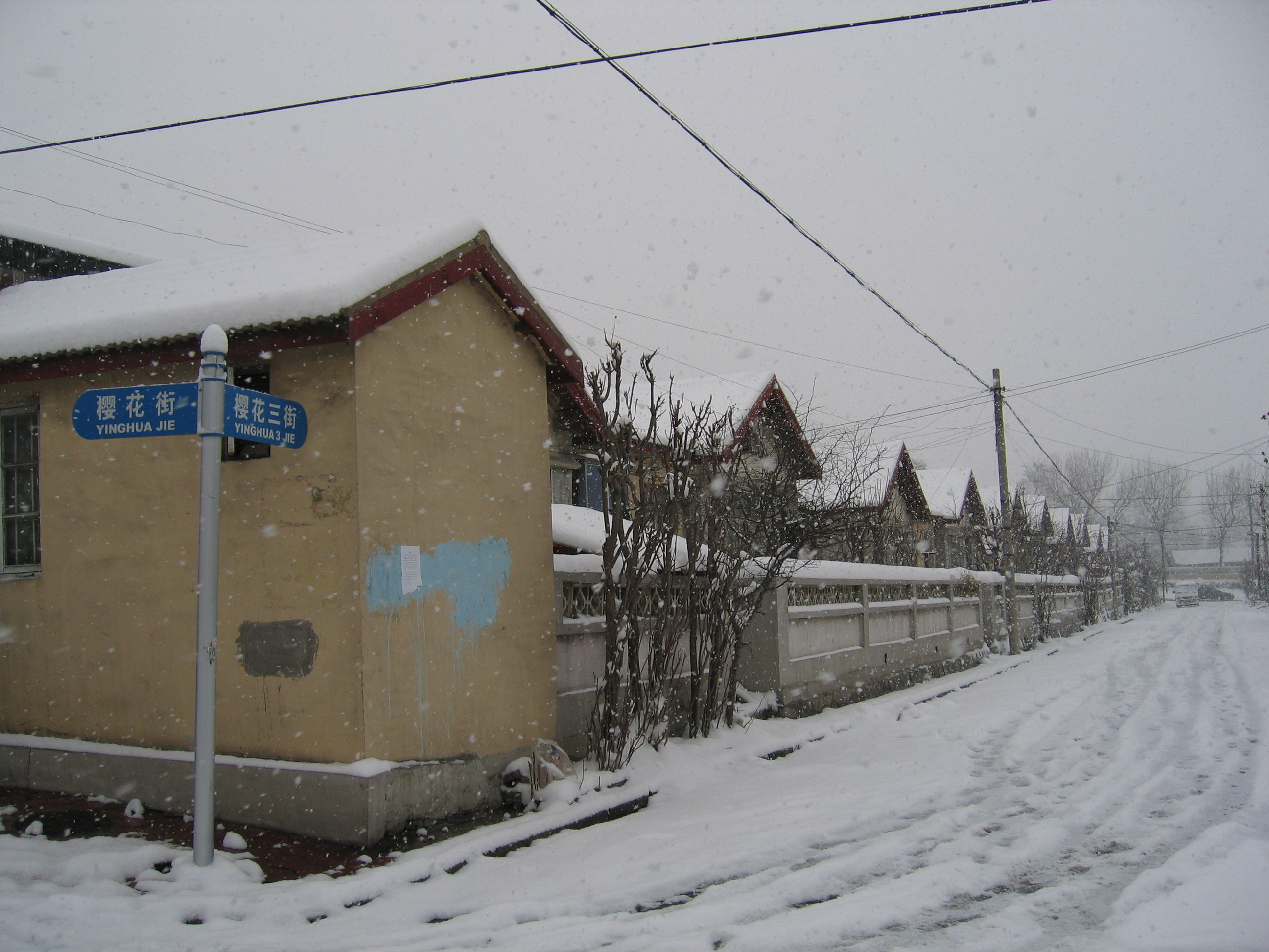 老照片2005大连甘井子樱花街(圈里——大化一宿舍)小编c723船船老长