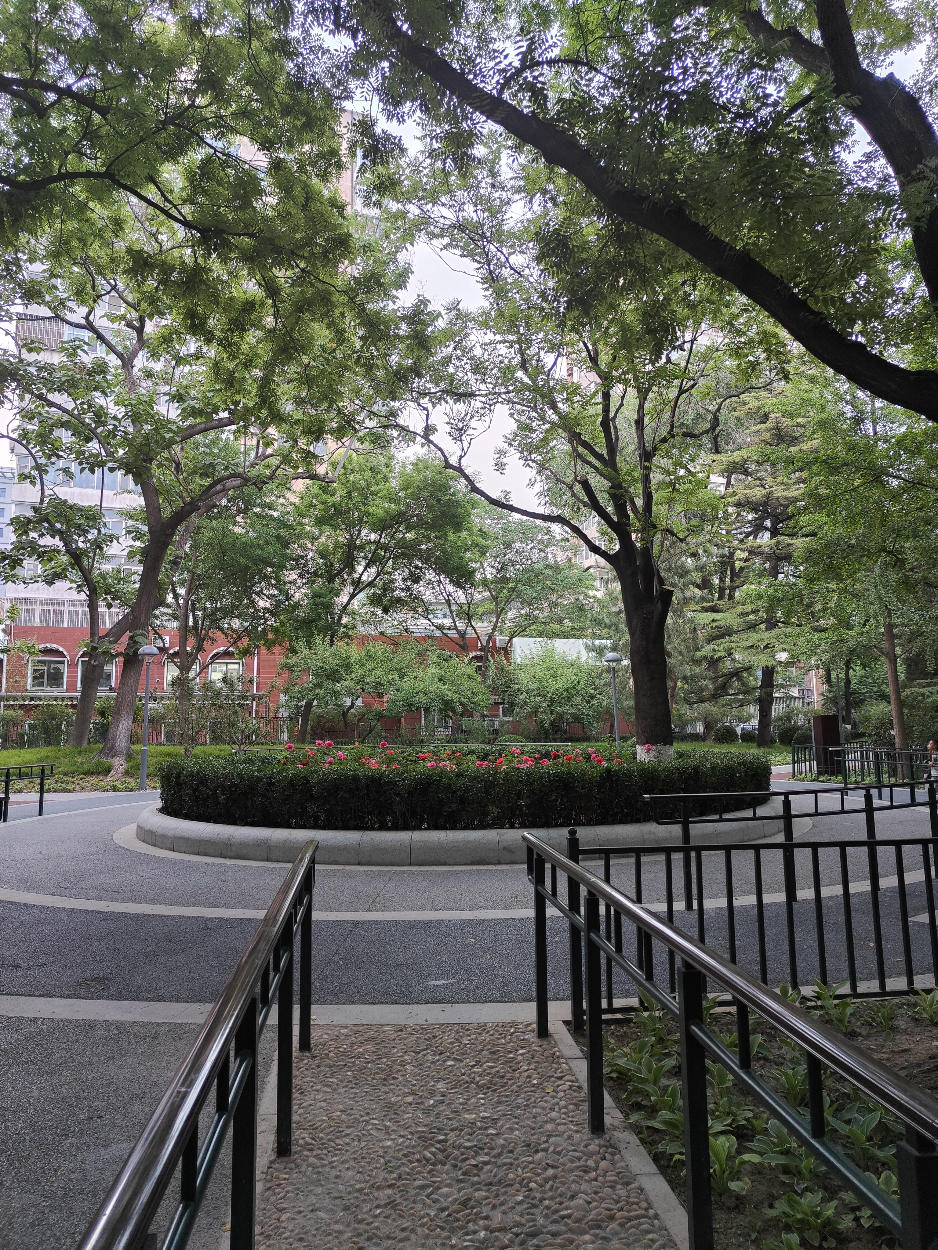 公园景区动植物走马观花-北京南礼士路公园(2023年5月10日)