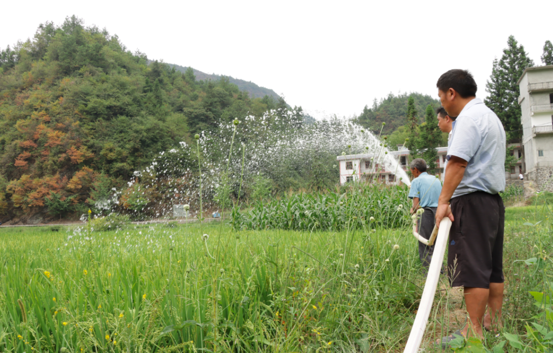 德江县沙溪乡万坝社区:抽水抗旱解民忧 浇灌农田保丰收