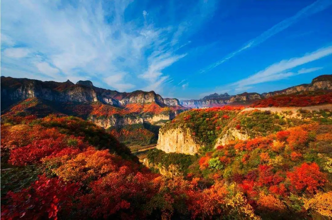 河南秋天最美10大景点:极致浪漫的七彩大片,绘就河南最美秋色