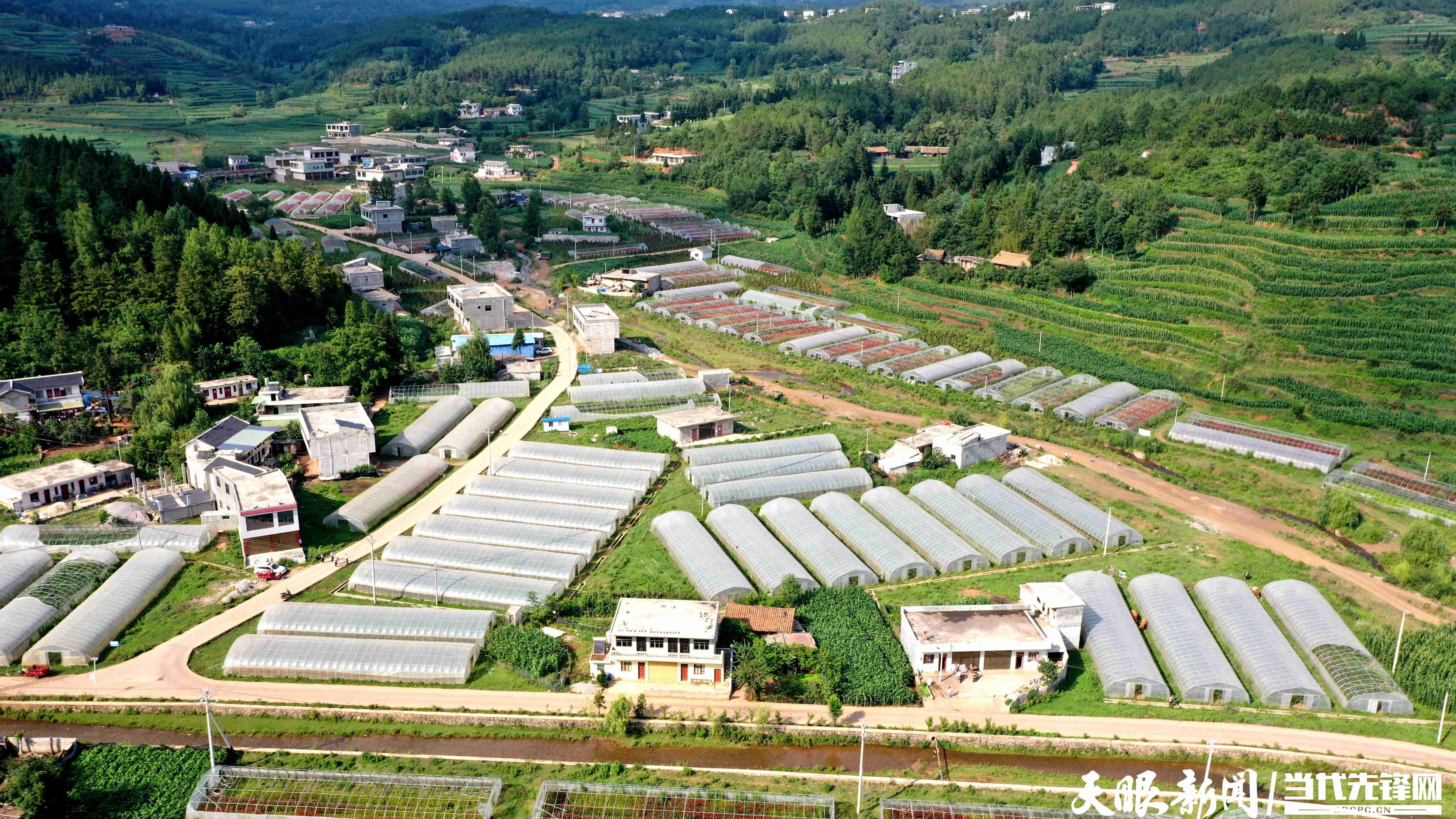 「天眼影像」威宁盐仓镇:大棚蔬菜丰收在望