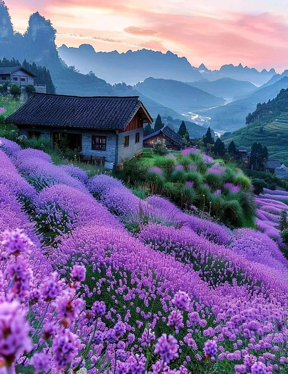 多幅符合中国人审美的春景美图,既养眼又养心,令人陶醉!