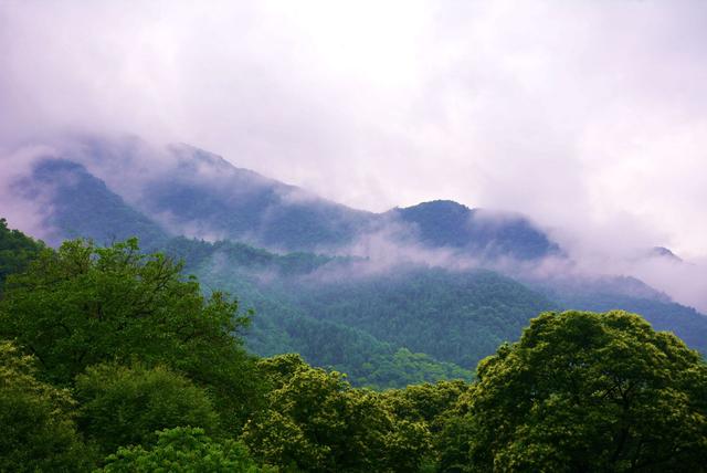 七律行游东岔镇桃花坪村