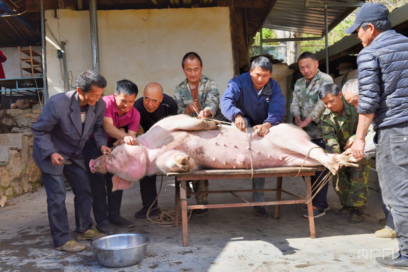 云南昌宁:冬到年猪饭里品乡愁