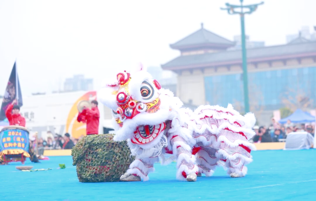 2024汉中龙狮争霸赛:传统与现代的交融盛宴