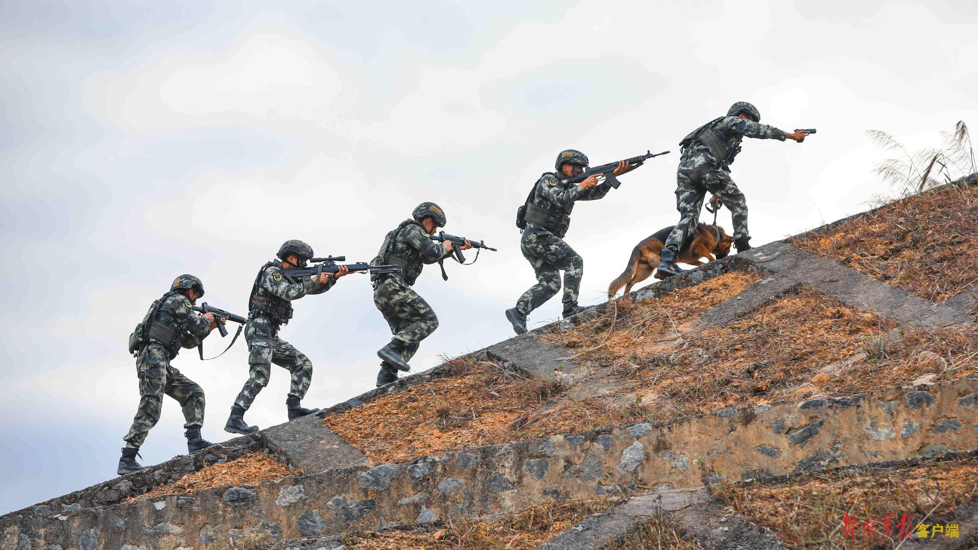炫酷!直击武警官兵山地捕歼演练现场