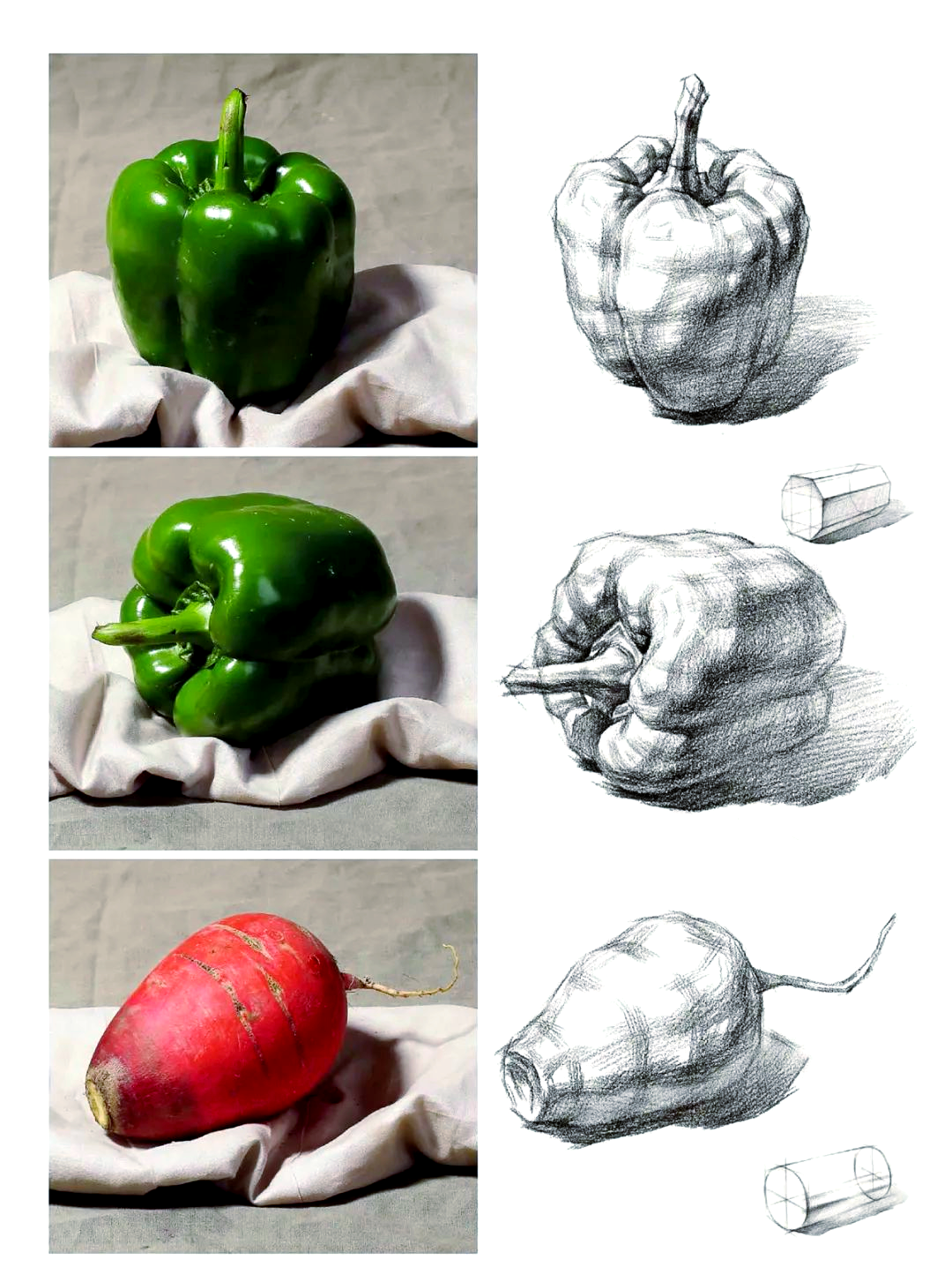 多种结构素描静物单体临摹练习