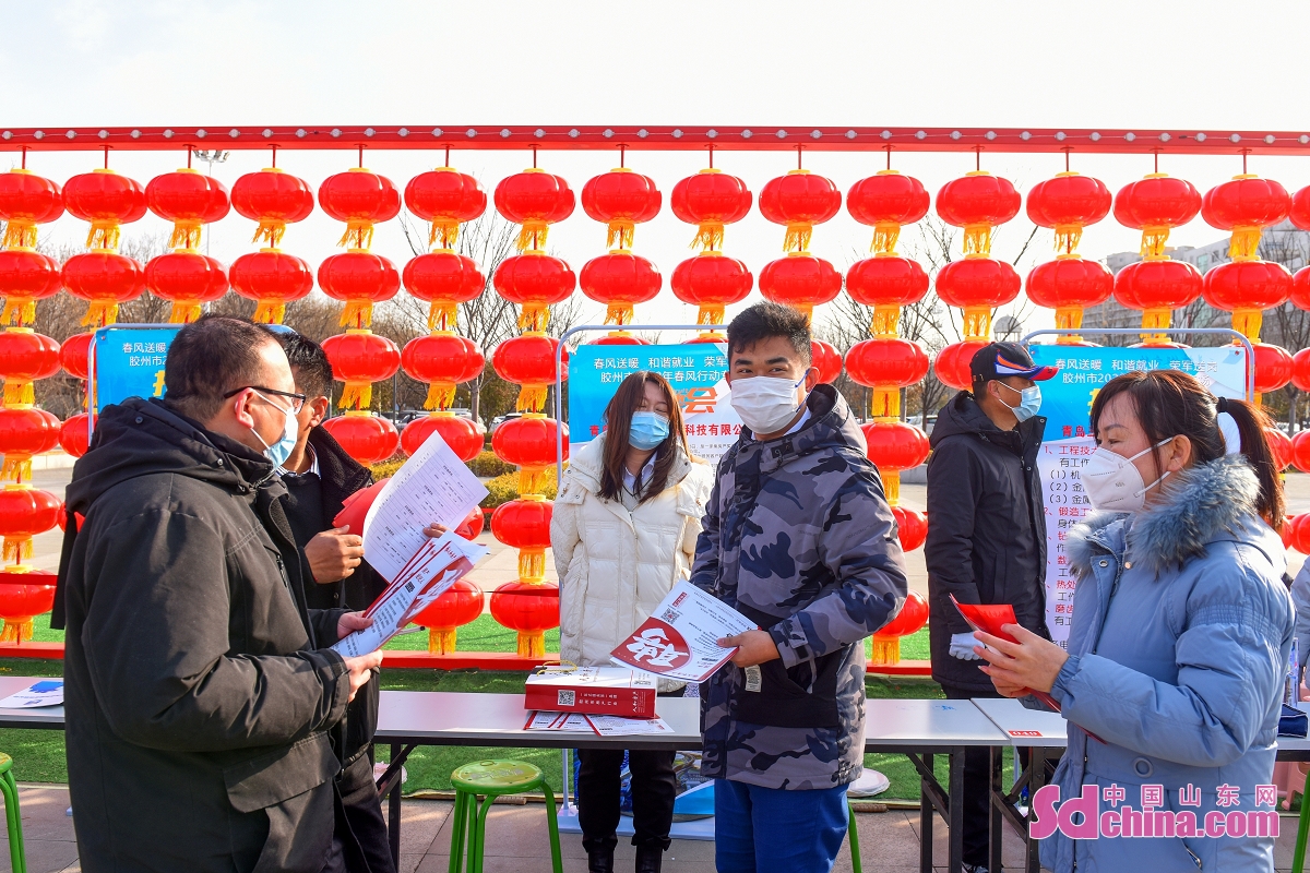 山東膠州:新春招聘忙