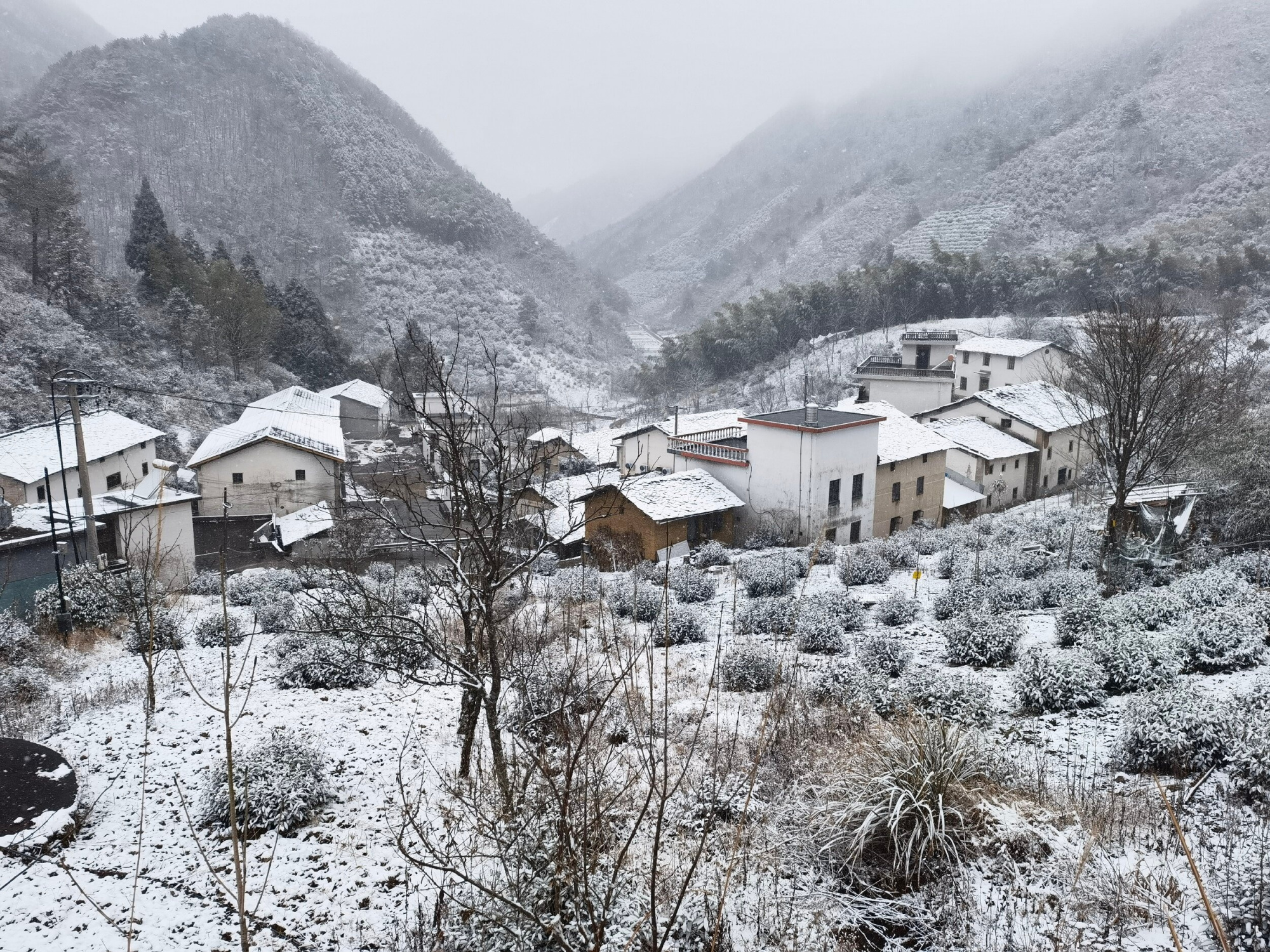 淳安屏门乡旅游景点图片