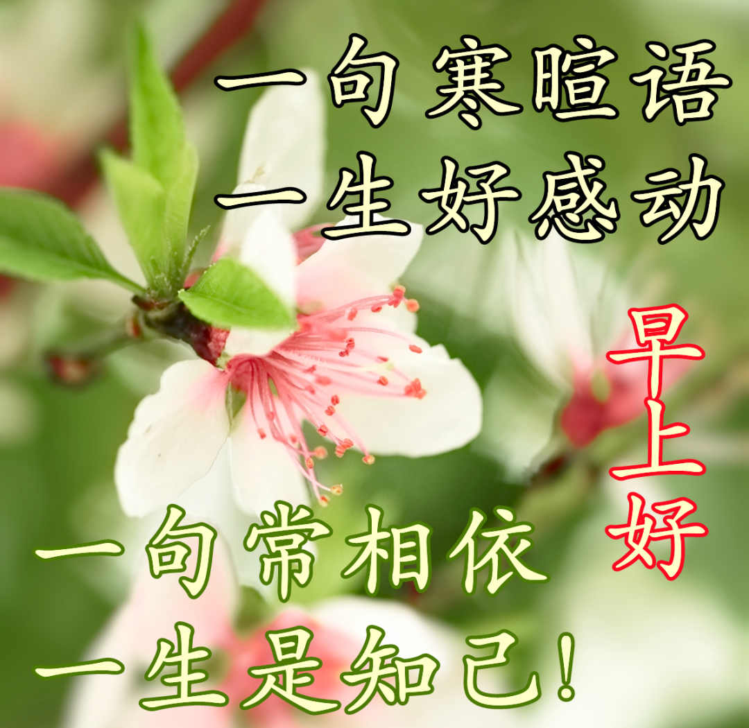 各种美好早晨祝福图片,传递温馨问候与正能量!