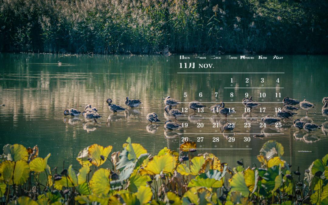 师大月历|十一月,所有的色彩在这时成熟