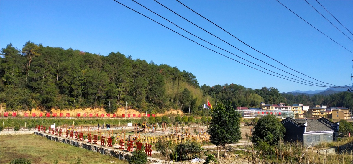 古田村走出了一条产业发展力促乡村振兴的新路子