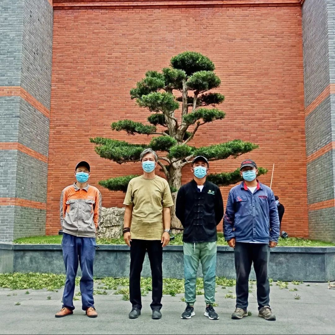 迎接“党的二十大”上海植物园积极开展中共一大会址纪念馆绿化提升带教工作 迎接“党的二十大”上海植物园积极开展中共一大会址纪念馆绿化提升带教工作