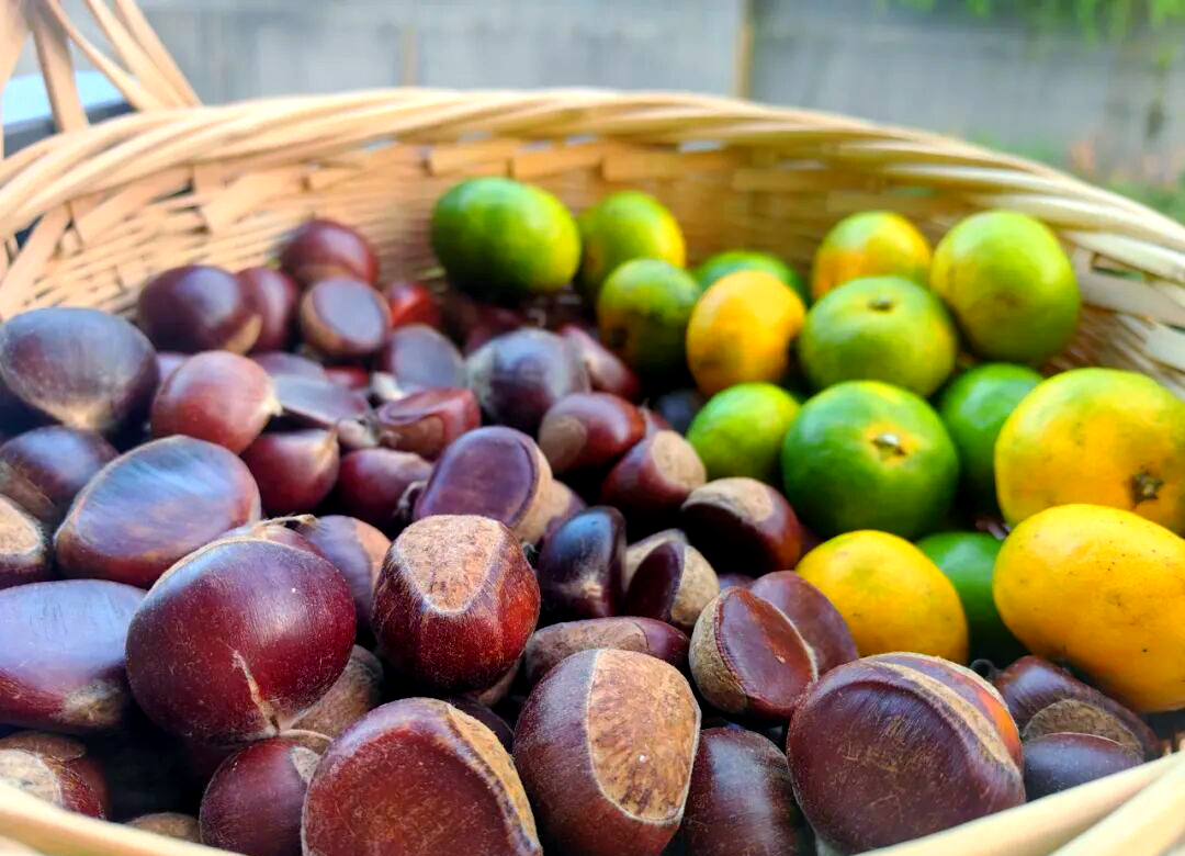 秋日美食:板栗,山核桃,柿子与橘子的独特风味