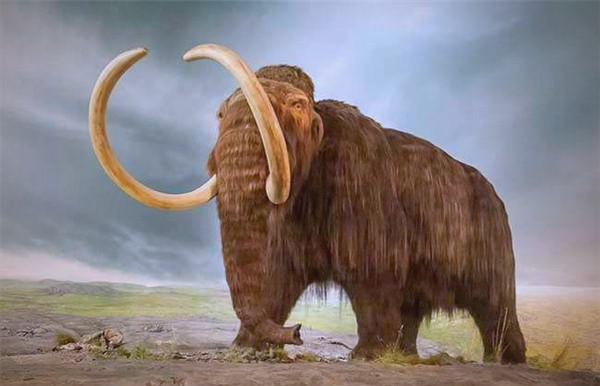 —草原猛犸象,体重可重达十二吨
