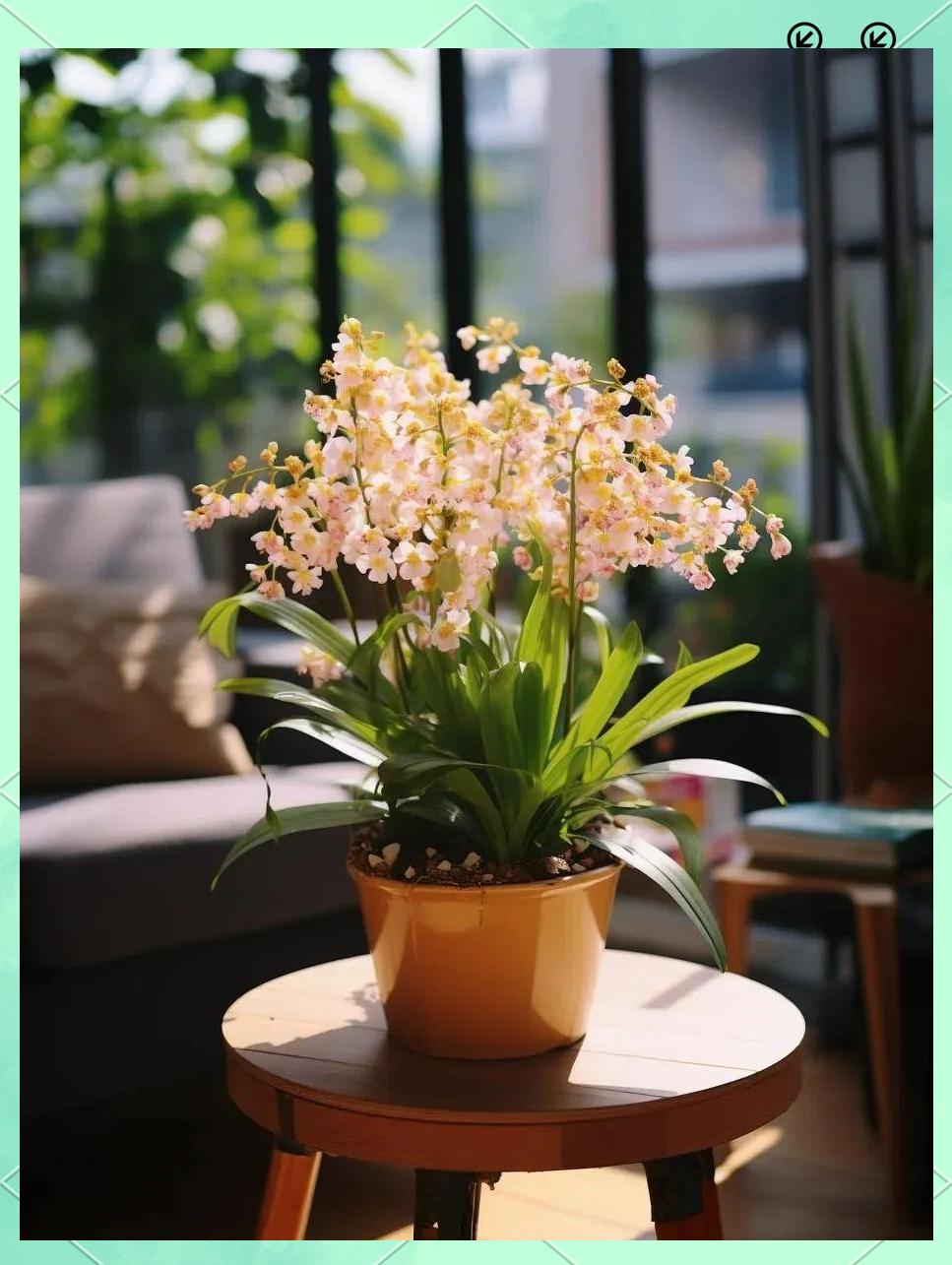 多种"高冷花"在冬日里绽放更显艳丽