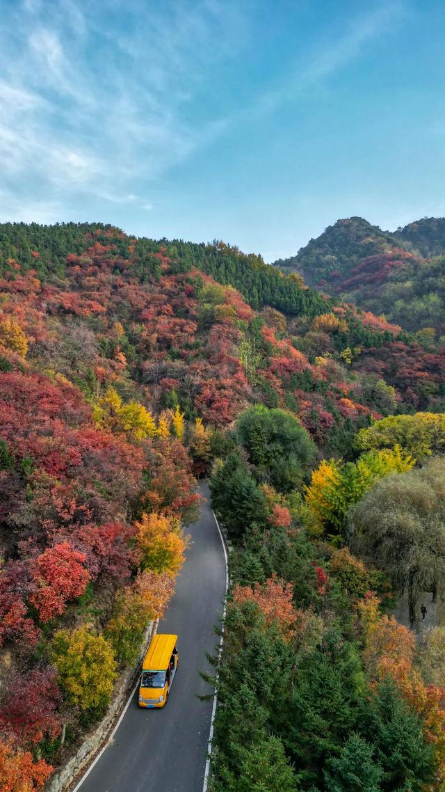 简直美翻了!济南的秋天,到底有多惊艳?