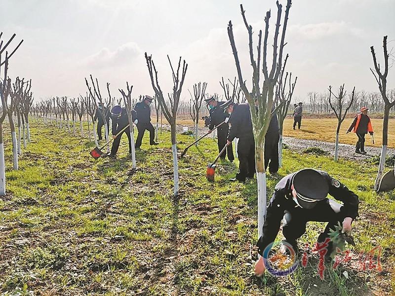 襄阳鱼梁洲经济开发区:养护"爱心林"