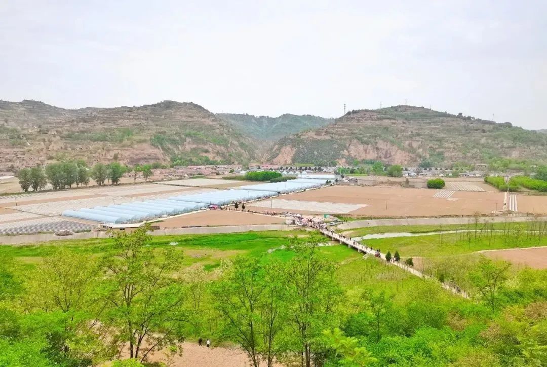 在福康正宁开启一场寻味之旅