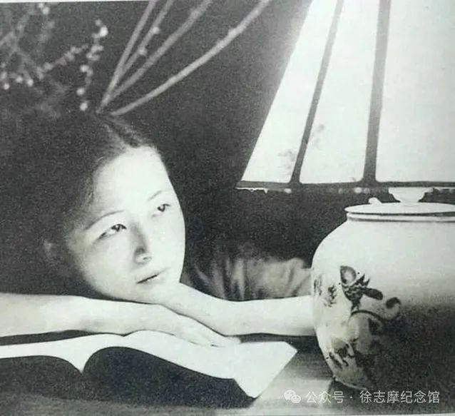 陈学勇林徽音与她的太太客厅