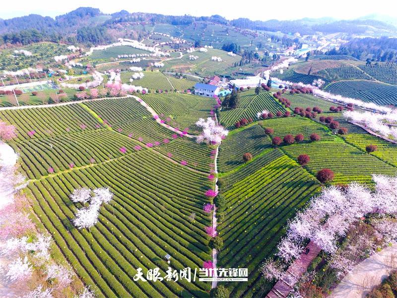 余庆县松烟镇:三产融合打通乡村产业振兴脉络