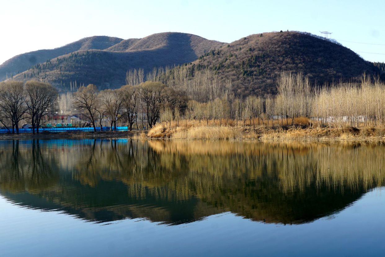 博山五陽湖春景美如畫