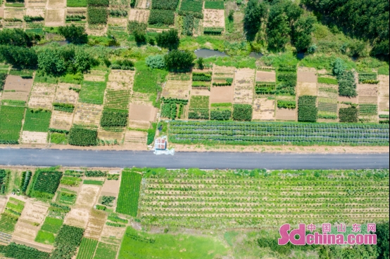 青岛西海岸新区宝山镇驻风河村工作队:谱写助力乡村振兴新篇章