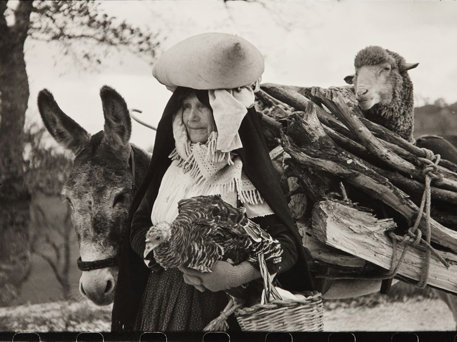 大师摄影作品赏析——街头摄影师布列松