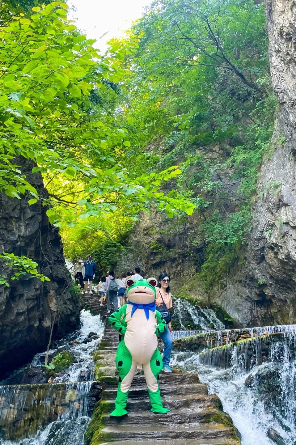 清风凉泉度夏日,洛阳王府竹海景区25℃的夏天专治高温!