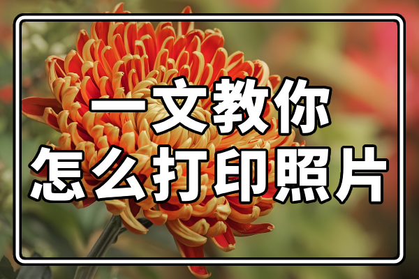 一文教你怎么打印照片!
