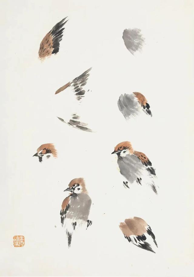 王雪涛的花鸟画教程图稿