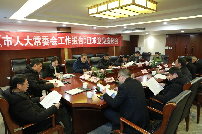 宋圣军赴岳西走访代表暨征求市人大常委会工作报告意见