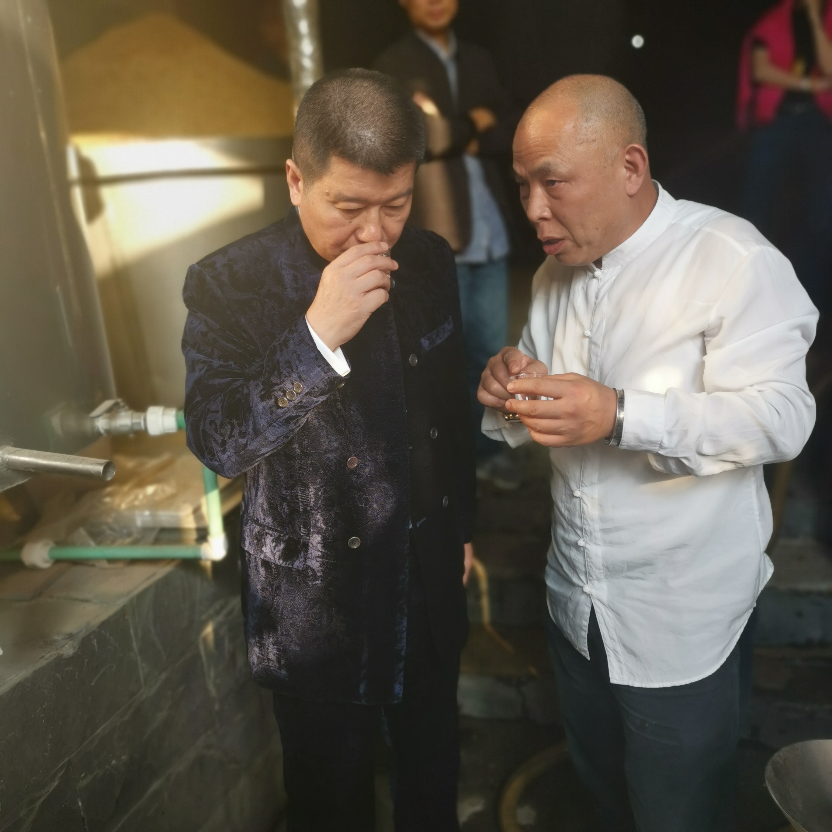 酿酒大师谢金明:一生只为酿好酒