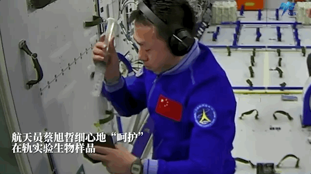 太空"种菜"什么体验?网友:我的dna动了