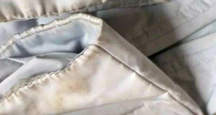白色羽绒服发霉怎么洗掉霉斑