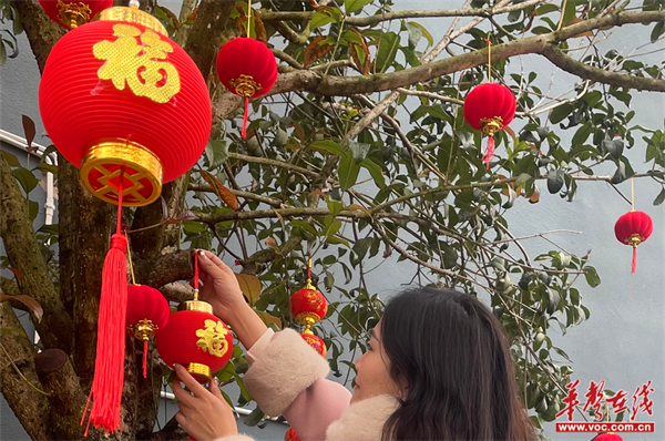 华声在线2月5日讯(通讯员 蒋正争 钟小丽 何彦霖)校门口挂上了红灯笼