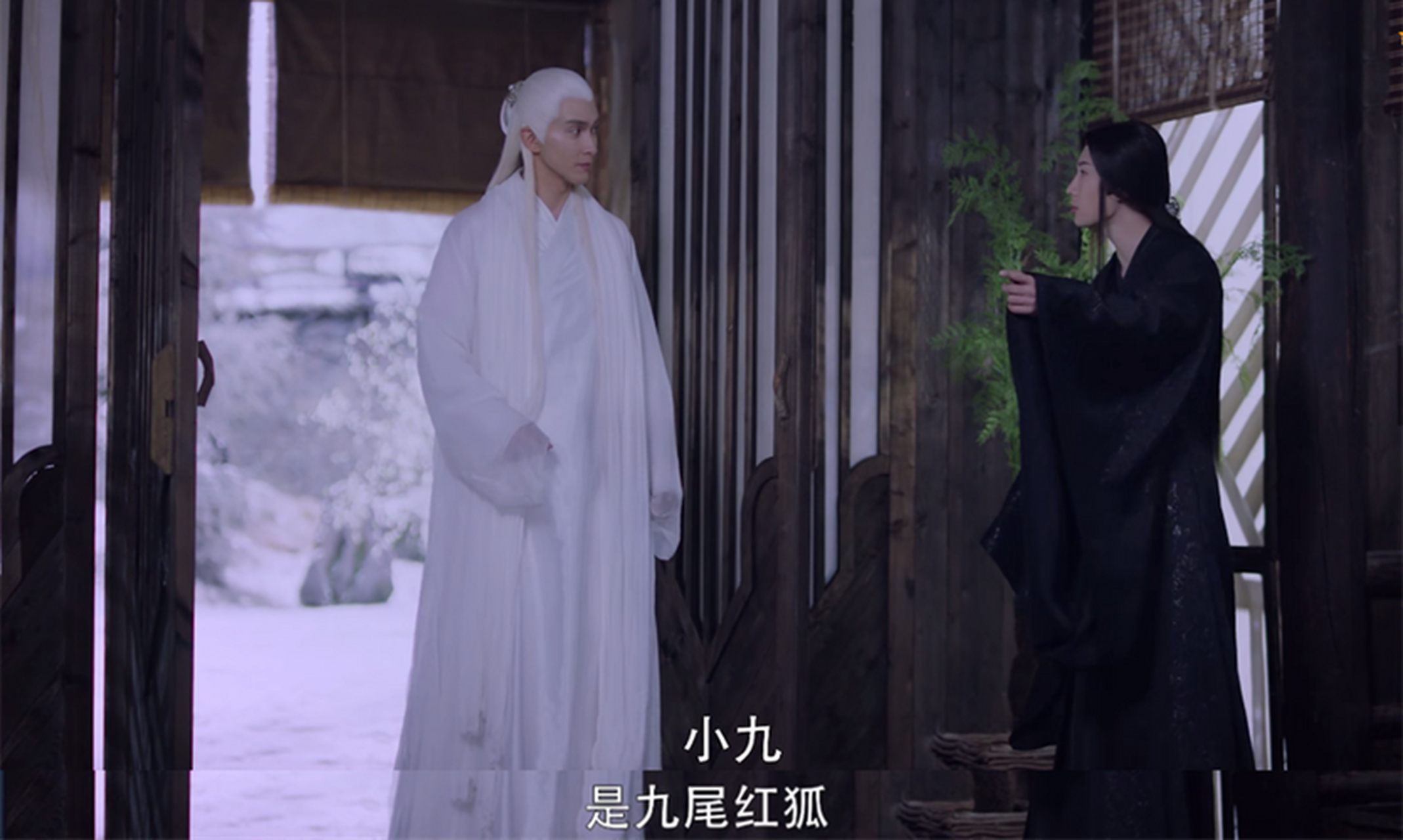 两人走近发现是墨渊和少绾,白浅知道墨渊用自己的心头血喂养了墨渊