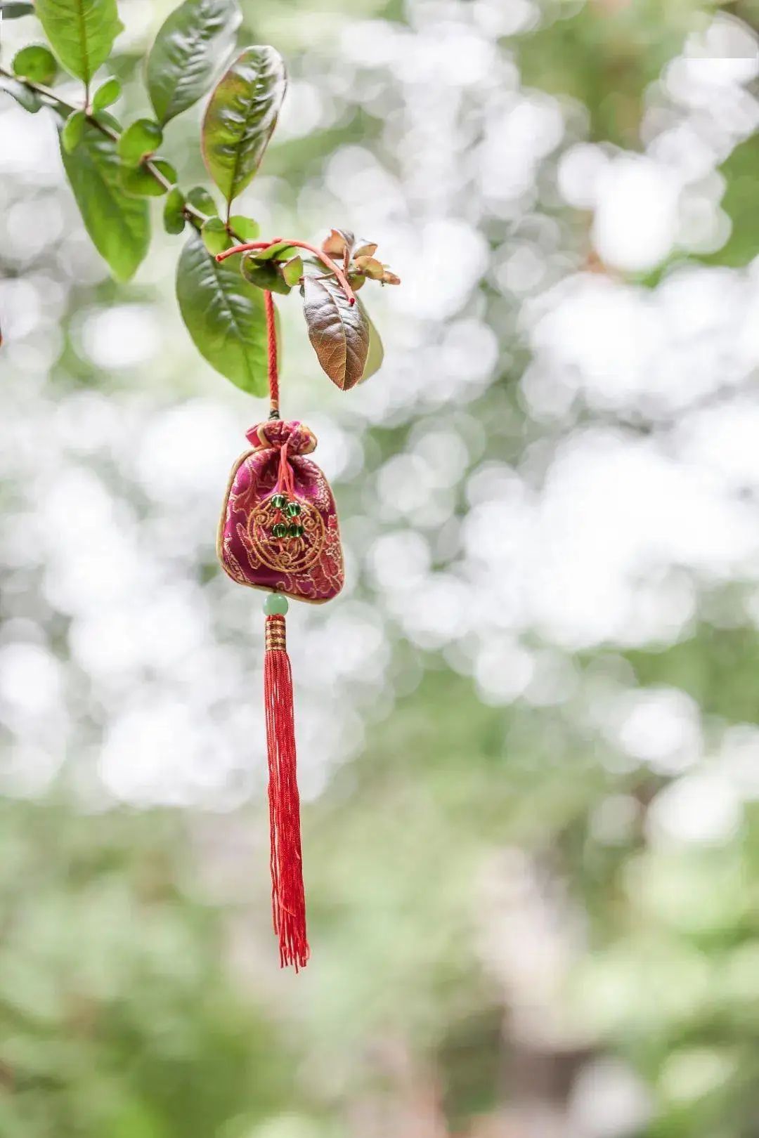 (赏析:五月里石榴花儿红艳艳,绿杨