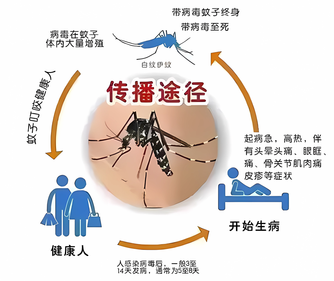 多地暴发急性传染病,没有特效药!疾控提醒:感染后千万别吃布洛芬