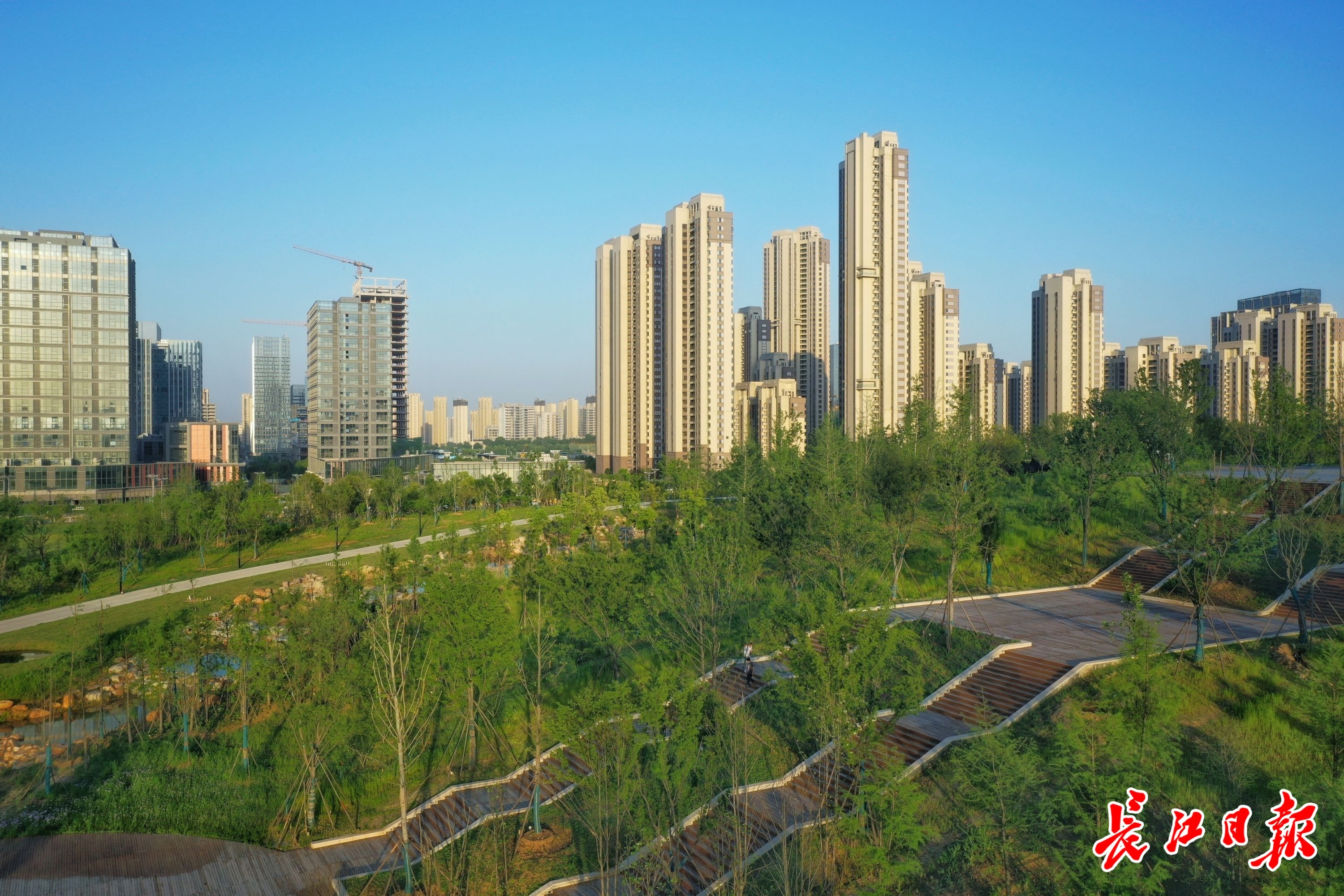 蓝天映绿地,光谷生态大走廊生机盎然