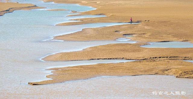 济南黄河漫滩像一首诗一幅画