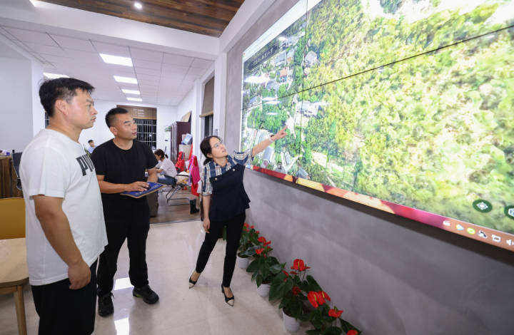 南太湖观察丨农村"数字双胞胎",长什么样?