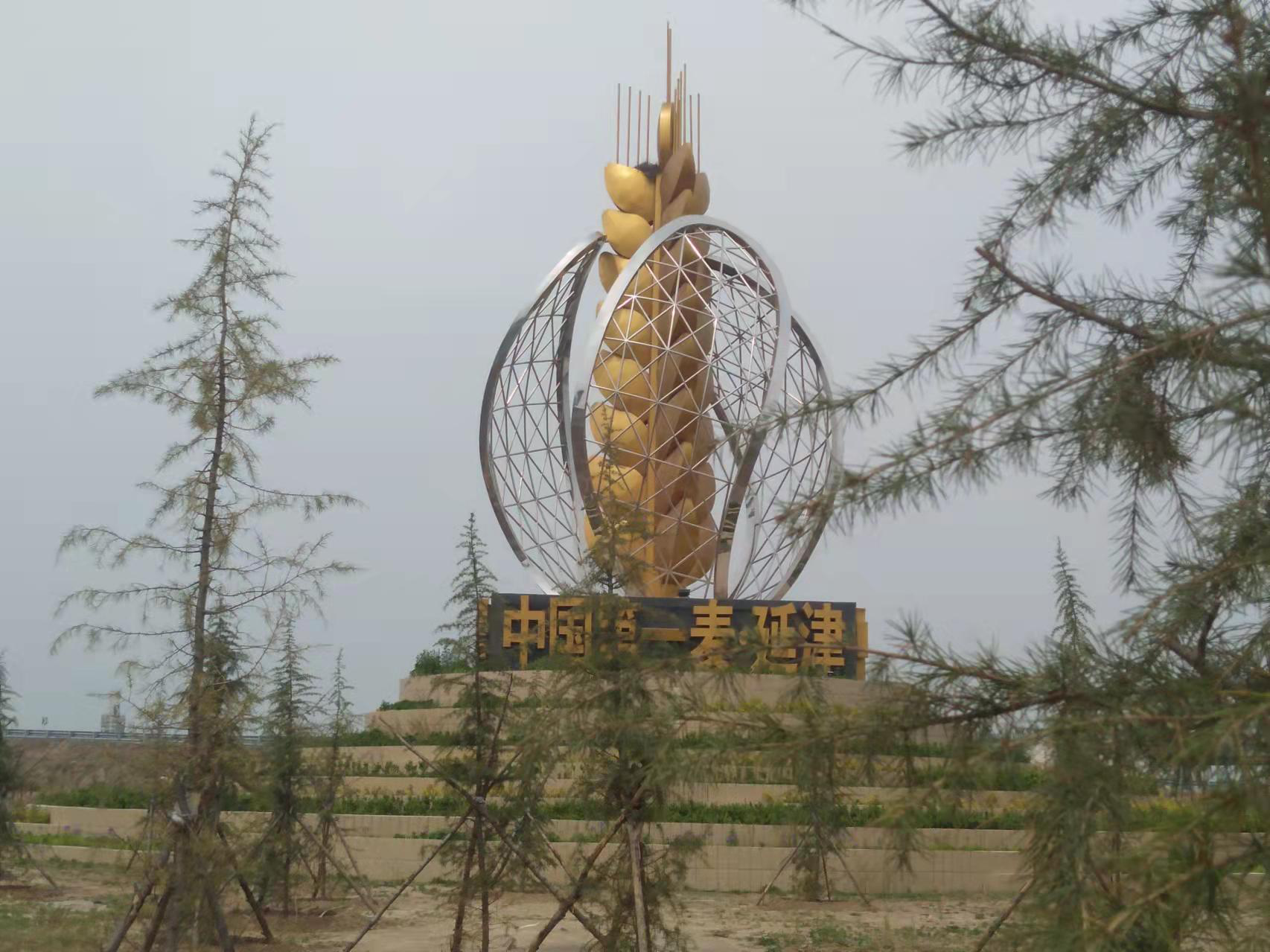 延津县塔铺:植树绿化添美景 黄河故道展新颜